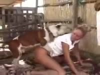 Farm sex with a lost dog